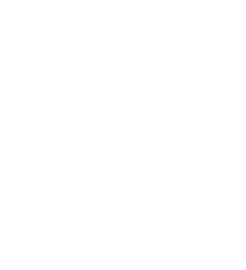 IPSE BOT