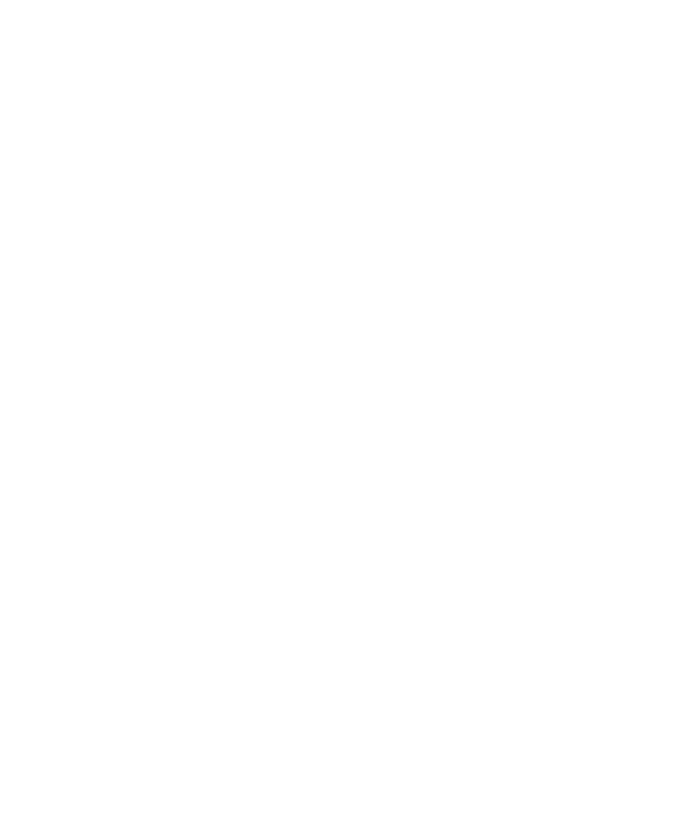 IPSE Outsourcing